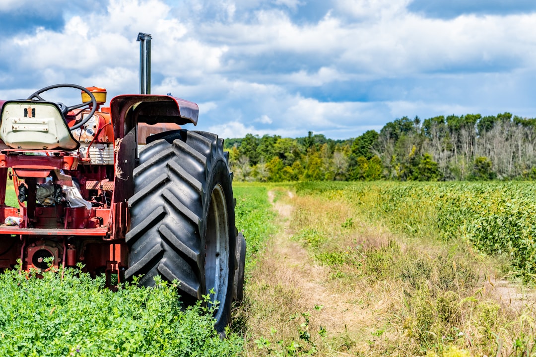 Photo support programs agriculture